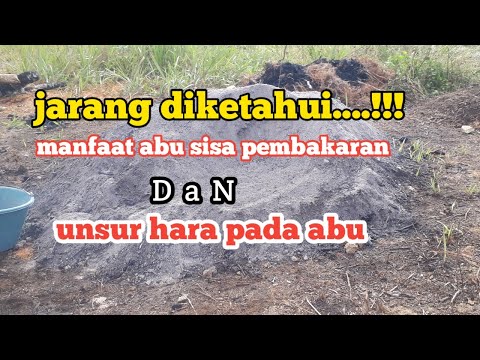 Video: Cara Menggunakan Abu Sebagai Baja