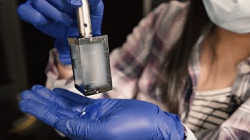 Look in the labs | Neural Dynamics