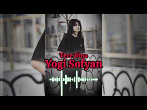 Yogi Sofyan Tere Bina