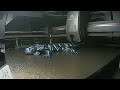 3-D print of an articulated Axolotl in a starlight green. Printed with a Creality K2.
