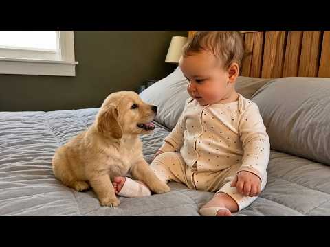 When a Dog Teaches a Baby How to Talk... And It Gets Hilarious 🐶👶