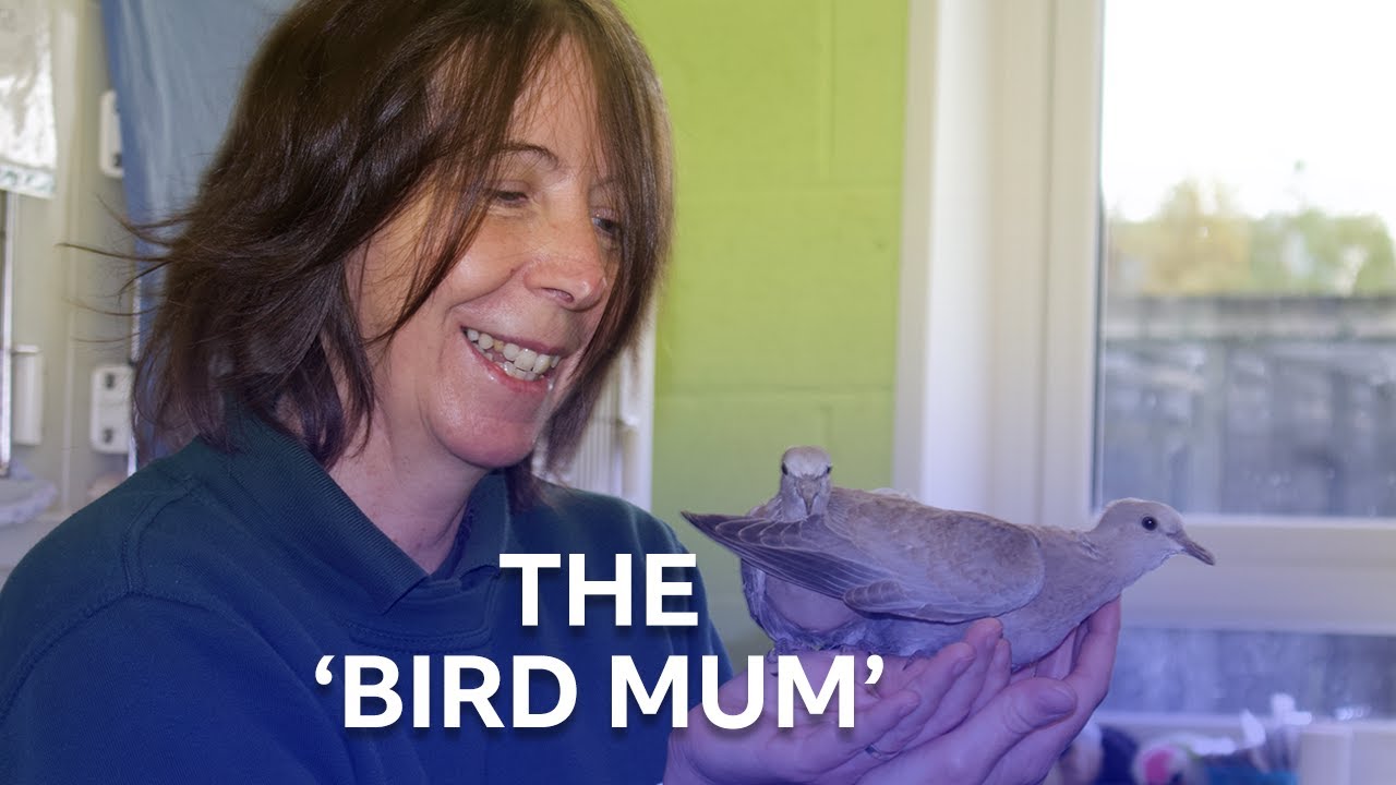 The 'Bird Mum' Who Cared For Tiny Chicks At Home | Born To Be Wild | BBC Scotland