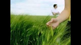 Dinda Firnanda - Ngomongo (Say if you don't love me)