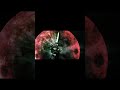 Kamen Rider Tycoon Bujin Sword infinite moves #shorts