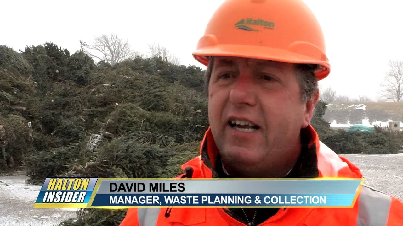 Halton Region Christmas Tree Pick Up January 2016 YouTube