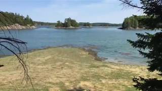 Cobscook Campground Maine