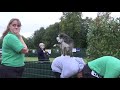 The Essex Dog Training Centre World record challenge 2019