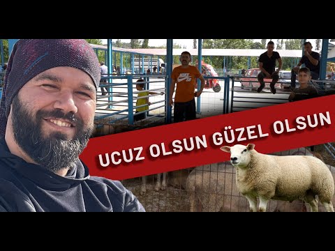 KURBAN PAZARINDA DURUM VAHİM !!!