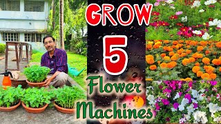 5 Best Winter flower Machines you can grow from Seeds.  Best Winter flower Plants