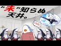 【宝具5耐久配信】仲間を、迎えに行きます。