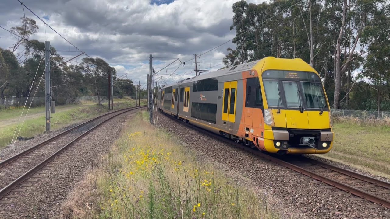 Sydney Trains Waratah A Sets and NSW TrainLink V Sets passing by Upper