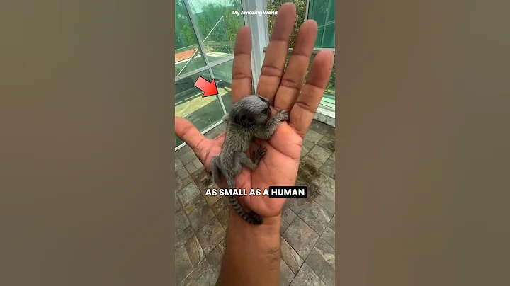 10 Mind-Blowing Animal Facts You’ve Never Heard Before! #AnimalFacts #Nature #Wildlife