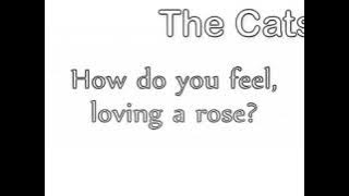 How do you feel, loving a rose?