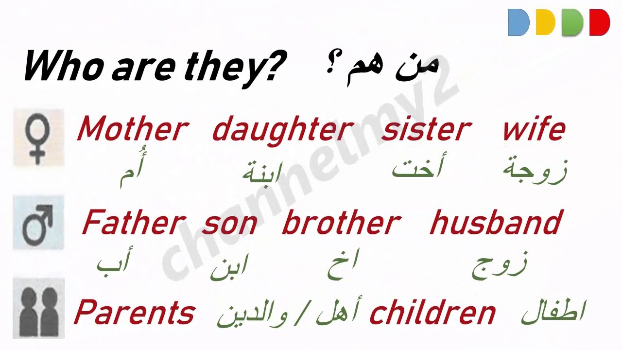 تعلم اللغة الانجليزية حوارات وجمل رائعة ومفيدة جدا عن العائلة يوتيوب