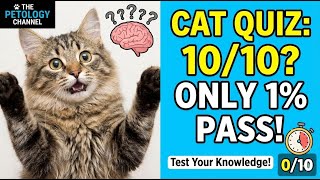 10 Cat Trivia Questions ONLY 5% Can Answer!