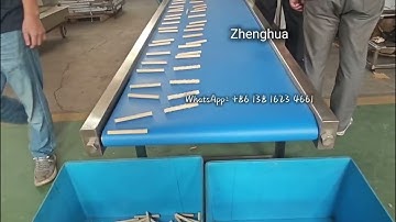 wafer roll wafer stick plant, in 4-ribbon production-Shanghai Zhenghua