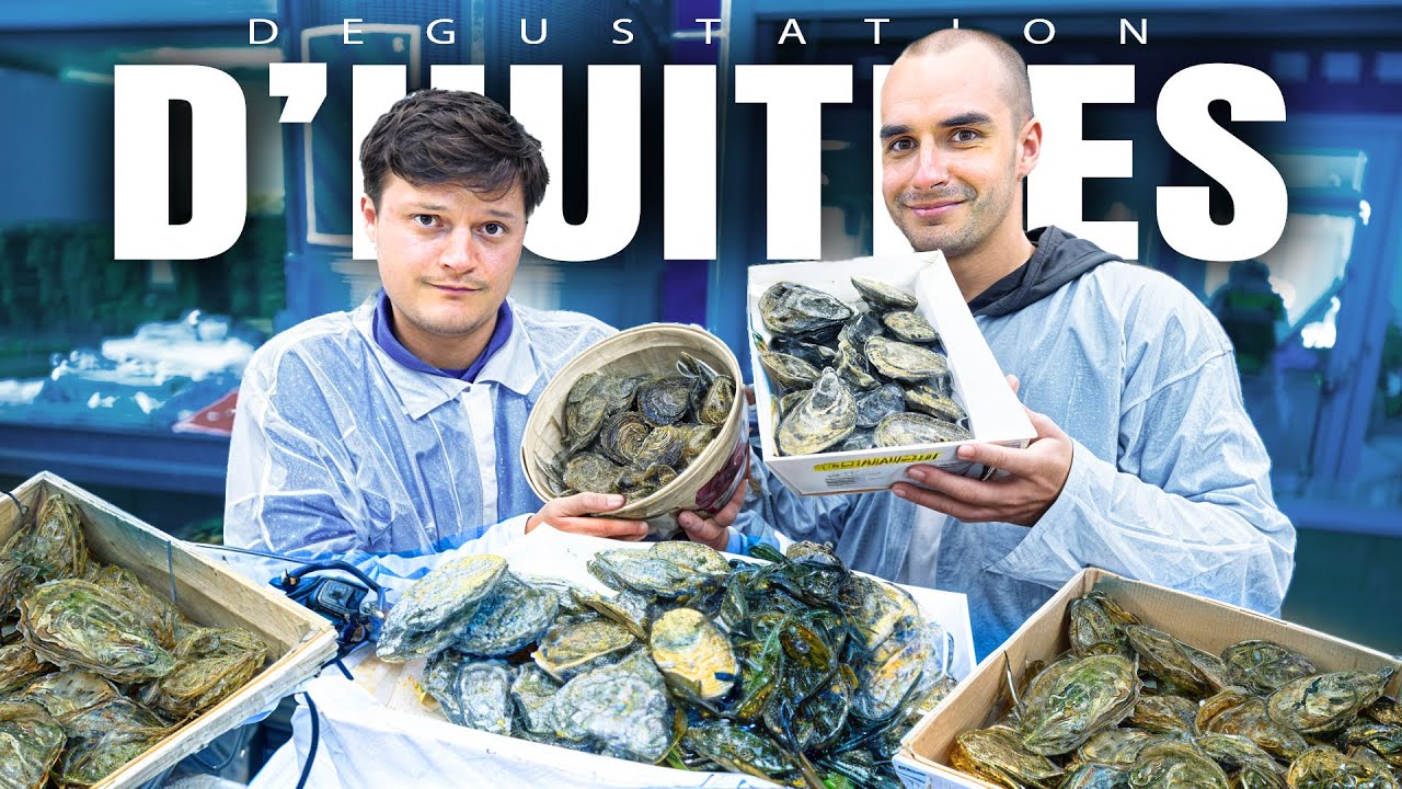 On déguste les 5 meilleures huîtres de France
