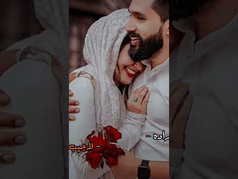 لو يقبل راد لجيب شيوخ وساده