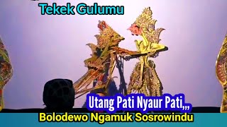 Sabetan Rame ⁉️🗡️ Bolodewo Ngamuk Sosrowindu - Senjata Cokro Nenggolo