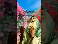 دعاء للأولاد   محمد الحاج