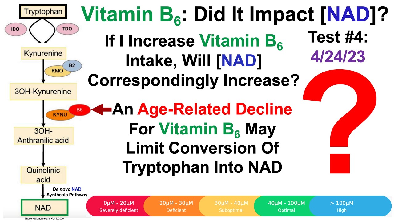 Vitamin B6 Did It Increase NAD? (Test Results) YouTube