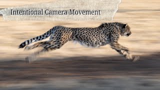Intentional Image Blur