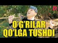 Akula - O'g'rilar qo'lga tushdi | Акула - Угрилар кулга тушди (hajviy ko'rsatuv)