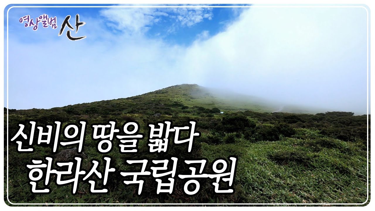 청정한 자연이 숨 쉬는 땅이자, 민족의 영산인 한라산 [영상앨범 산] KBS 200816 방송