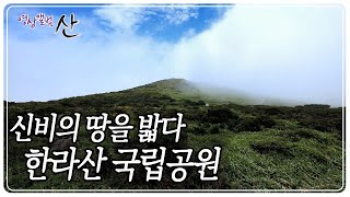 청정한 자연이 숨 쉬는 땅이자, 민족의 영산인 한라산 [영상앨범 산] KBS 200816 방송