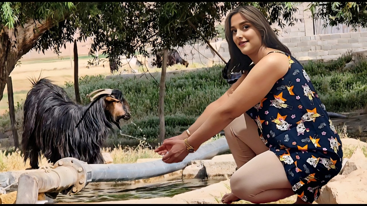 Кочевая жизнь в Иране | Откройте для себя простую красоту деревенской жизни в горах Эльбурс