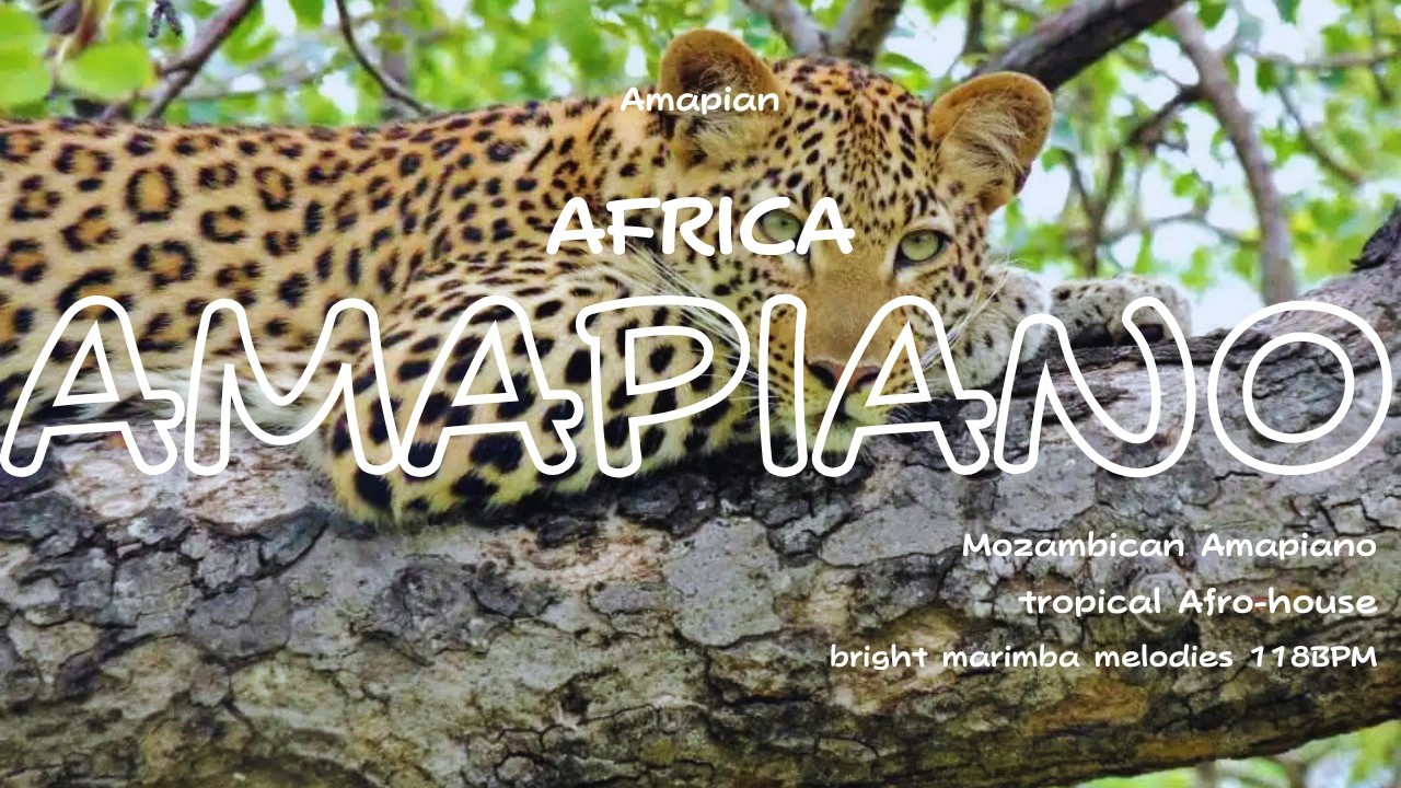 Wild Spirit Amapiano 2026 | Deep Log Drum & Shimmering Guitar Mix