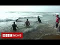 New video by BBC News on YouTube