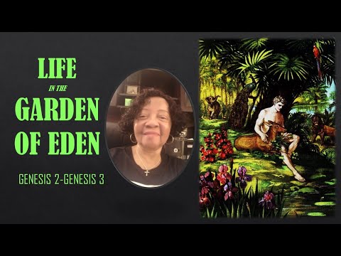 Video: Evergreen Herb Garden - Այգու համար մշտադալար խոտաբույսերի տեսակները