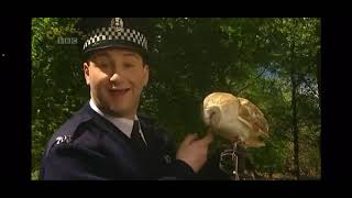 Pc Plum Song Pal Pitch