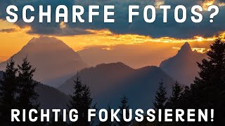 Scharfe Bilder! Wo sollte man fokussieren?