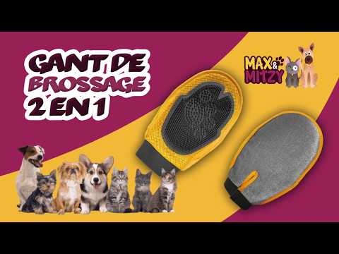 gant-de-brossage-et-toilettage-2-en-1-pour-chiens-et-chats-max&mitzy