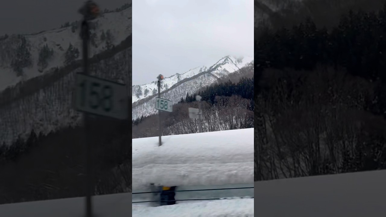 Snow Scenery  雪景    ❄️ Japan 日本