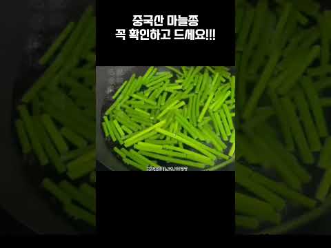 여러분들 중국산 <strong>마늘쫑</strong> 꼭 조심하세요!!!