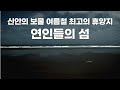 #국내여행#가볼만한곳 여름철 연인과의 여행, 조용한 휴양지로 최고이며 이곳에서는 누구나 시인이된다. #신안 섬여행