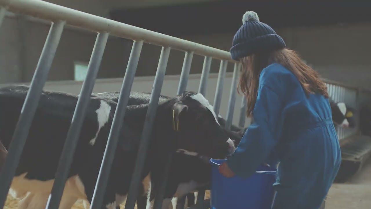 Sprayfo Ultimo: Die neue Generation Kälbermilch