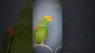 Dónde Está Mi Muñecazo? Hijazo De Mi Vidaza