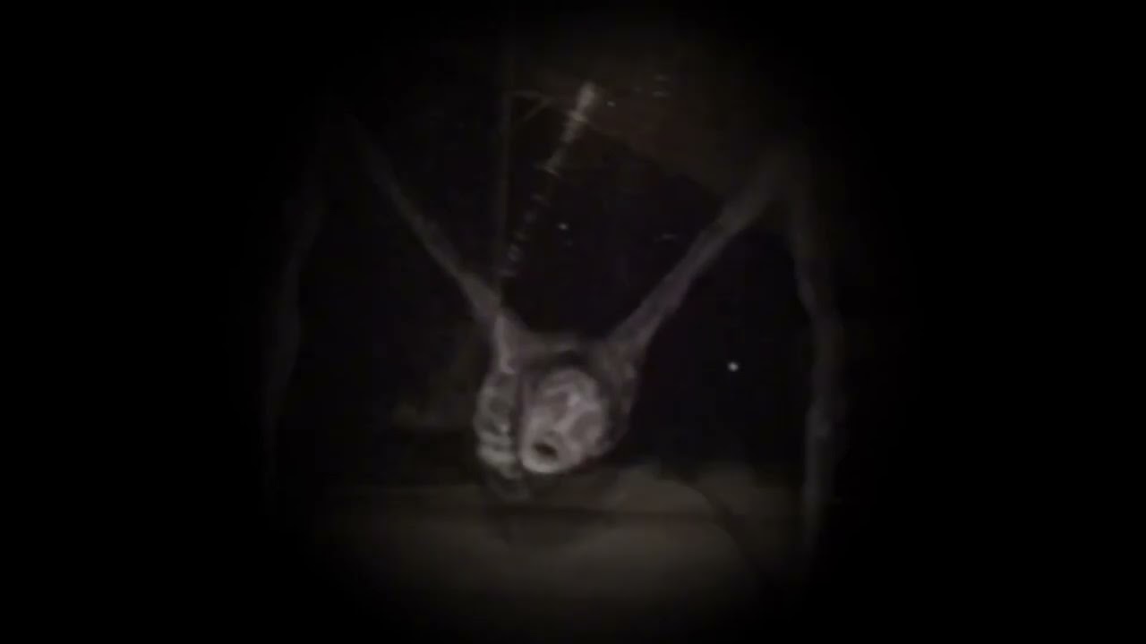 Dark/creepy edit audios 👹🌑+ timestamps