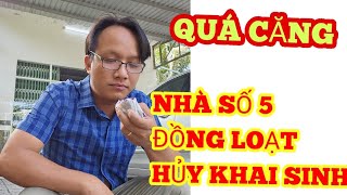 Thám Tử Cao vlog