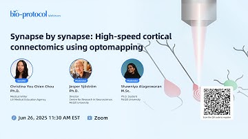 Synapse by synapse: High-speed cortical connectomics using optomapping | Webinar | Neuroscience