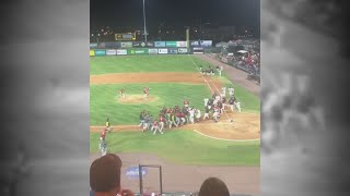 Richmond Flying Squirrels’ baseball brawl