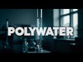 From Discovery of the Century to Lab Error - The Rise and Fall of Polywater
