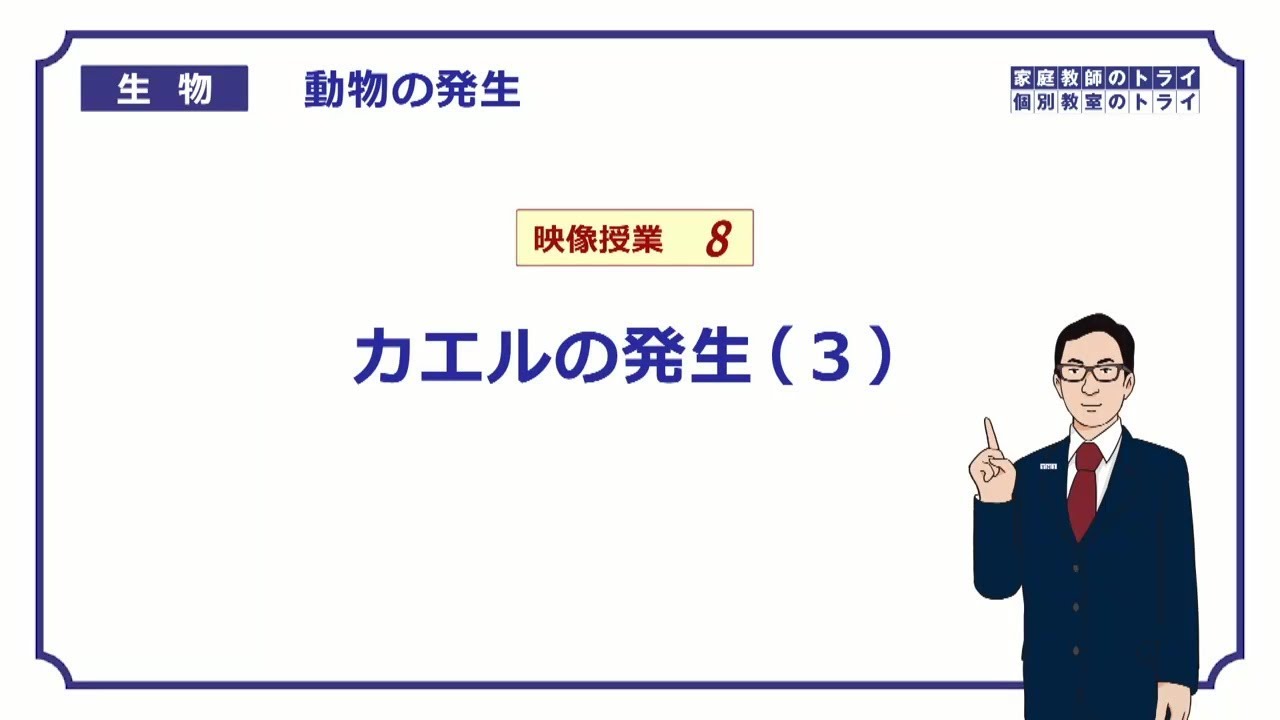 高校生物 尾芽胚 成体 映像授業のtry It トライイット
