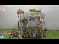 パイプやプラスチック容器を使った安全なネズミ捕り / 効果的な自家製ネズミ捕り