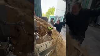 Download Lagu When It Gets A Little Mashy MP3