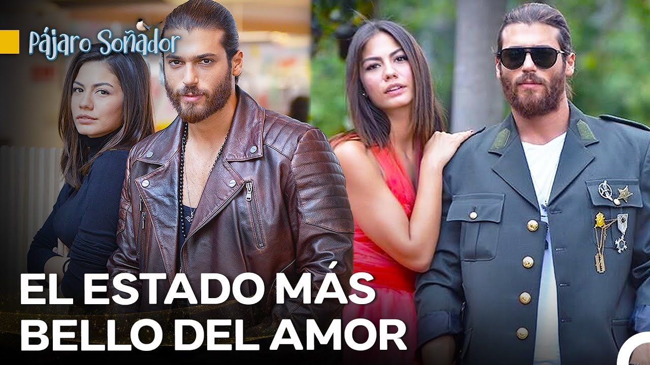 El Fuego Del Amor Aumentando En 20 Horas 🔥 - Pájaro Soñador